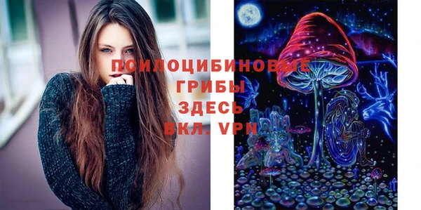 jwh Краснослободск