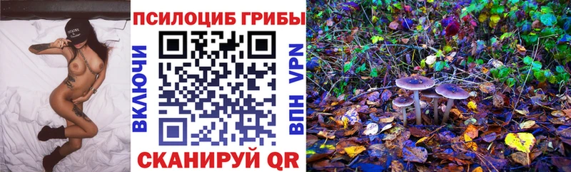 Псилоцибиновые грибы мицелий  Купить  Орехово-Зуево 